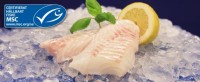2123 - Torsk ryggfilé, MSC
