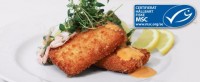 2301 - Torskfiskett, MSC ekopanad