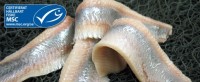 8141 - Saltsillfiléer u skinn MSC